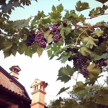 Antico Mulino Bed & Breakfast Camugnano