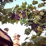 A 5 Min Dalla Rocchetta Mattei - Antico Mulino Bed and breakfast Camugnano