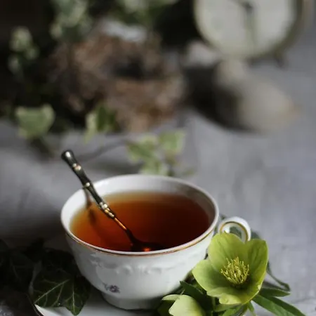 Alojamento de Acomodação e Pequeno-almoço A 5 Min Dalla Rocchetta Mattei - Antico Mulino