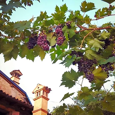 住宿加早餐酒店 A 5 Min Dalla Rocchetta Mattei - Antico Mulino 3*