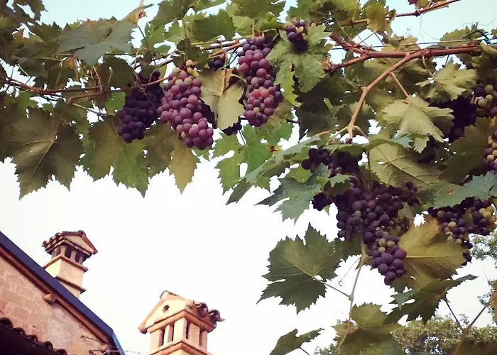 Antico Mulino Bed & Breakfast Camugnano